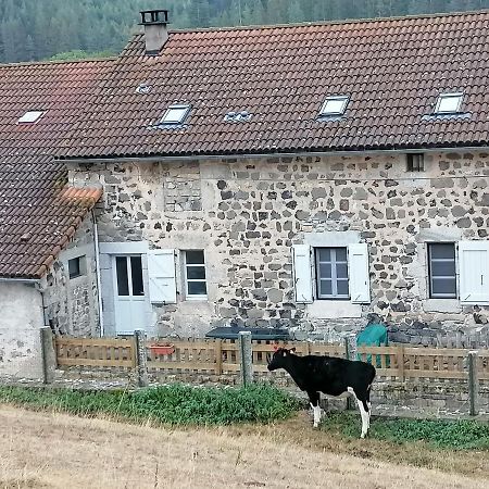 Le Malzieu-Ville Gite A La Ferme מראה חיצוני תמונה