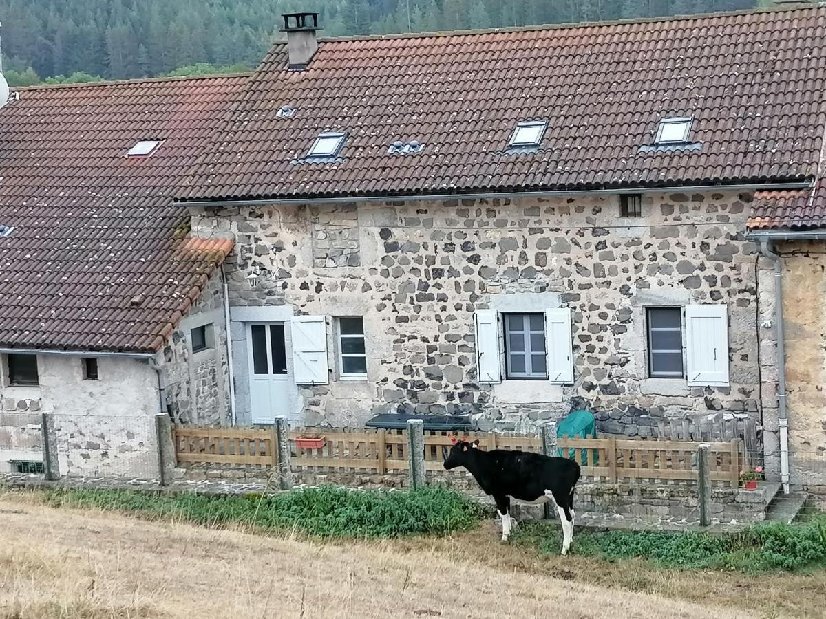 Le Malzieu-Ville Gite A La Ferme מראה חיצוני תמונה
